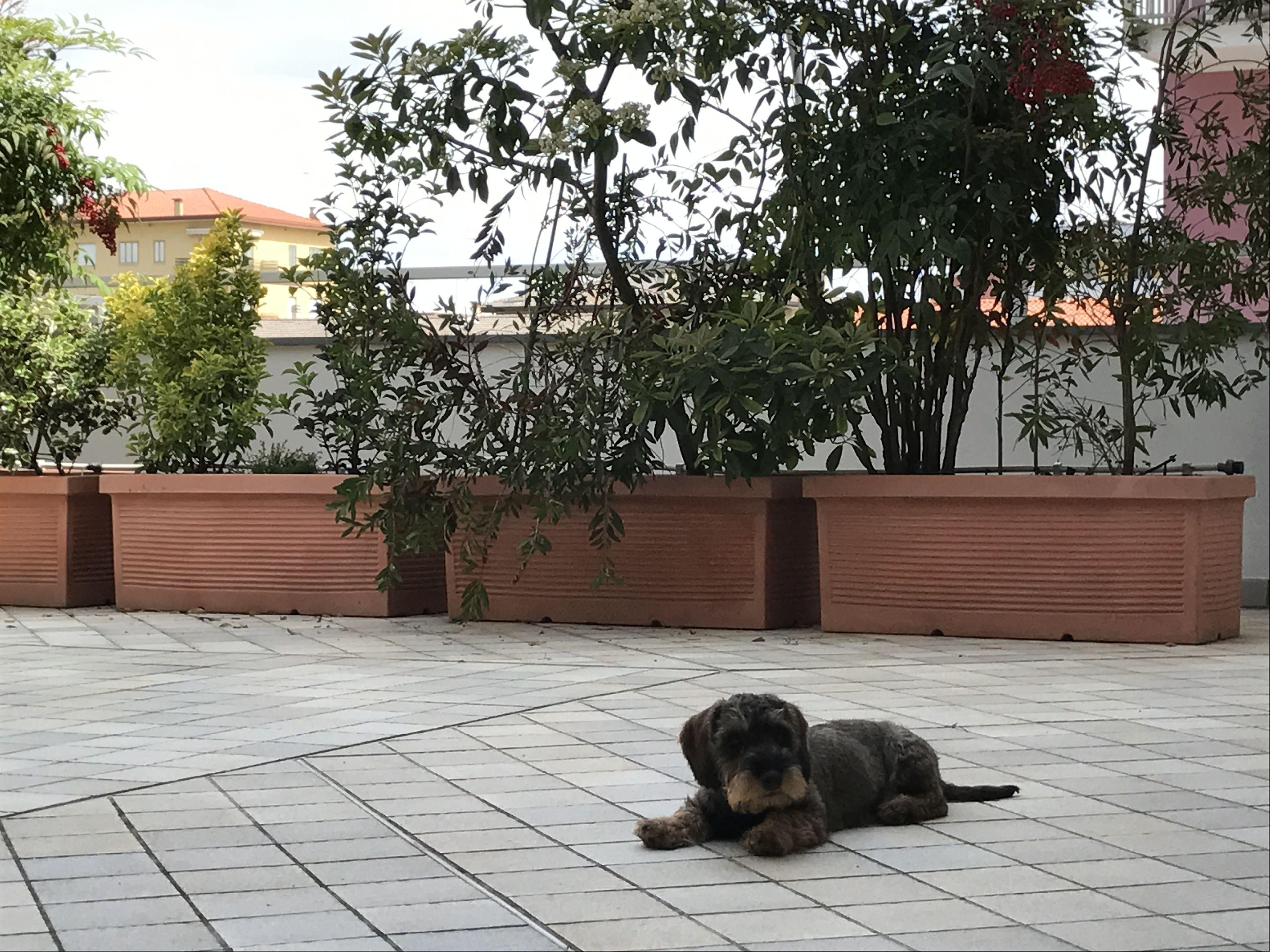 Apartment Aquamarina